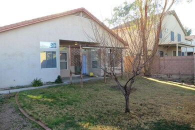 Backyard 2