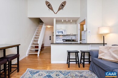 224 Timbers Condos, Wintergreen, VA 22958 - photo 5