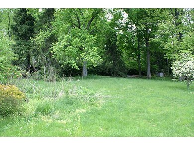 Yard/Garden.