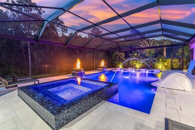 4976 Night Star Trail, Odessa, FL 33556 - photo 2