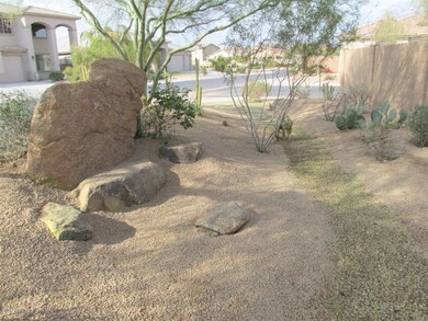 Front Yard