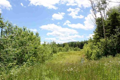 0 Valley View Extension unit 10 4846036, Andover, VT 05143 - photo 2