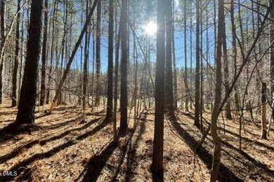 586 Anneliis Ln, Siler City, NC 27344 - photo 4