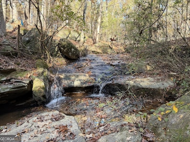 0 Thurman Baccus Rd unit 10647779, Social Circle, GA 30025 - photo 4