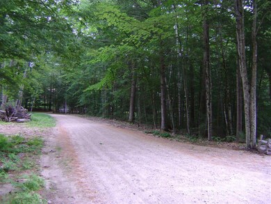 00 Spitzen St unit 109, Moultonborough, NH 03254 - photo 3