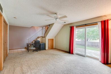 Lower level family room