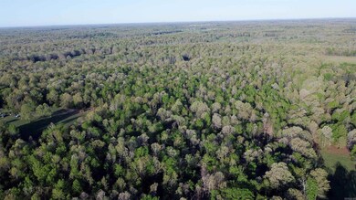 000 Carmickle Rd, Maynard, AR 72444 - photo 2