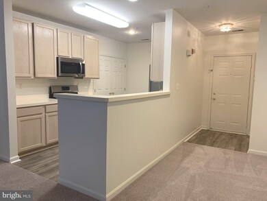 5001 Willow Branch Way unit 103, Owings Mills, MD 21117 - photo 5