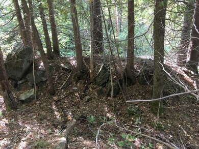 19-X Streamview Dr, Harmony, ME 04942 - photo 3