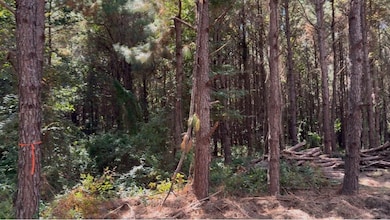 3920 Farm To Market Road 1987, Corrigan, TX 75939 - photo 2