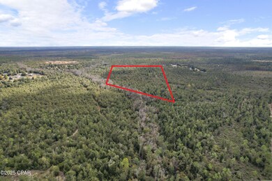 0000 Hwy 231 Hwy, Panama City, FL 32404 - photo 4