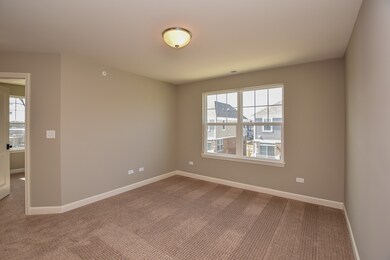 1114 E Bauer Rd, Naperville, IL 60563 - photo 3