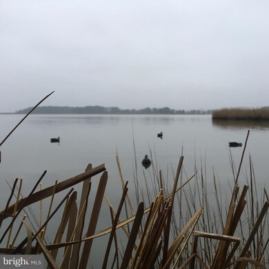 0 Orchard Rd unit 1000977819, Trappe, MD 21673 - photo 7