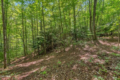 build site