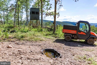 00 Upper Pole Cat Rd, Howard, PA 16841 - photo 4