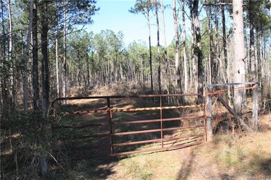 00 Hwy 161 Hwy, Clover, SC 29710 - photo 3