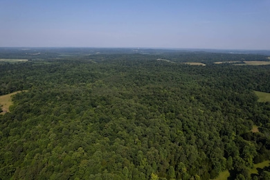 0 Dan Station Rd unit 11546184, Olaton, KY 42361 - photo 3