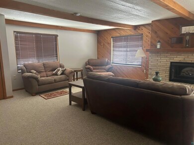 Living room featuring beamed ceiling, carpet, a te