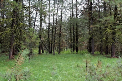 Nestled Among The Trees