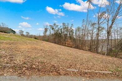 02-2021-Duck-Cove-Dr-Knoxville-TN-2