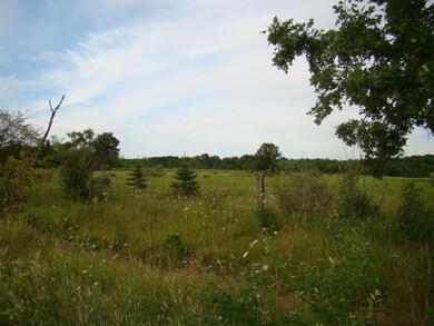 DSC06152