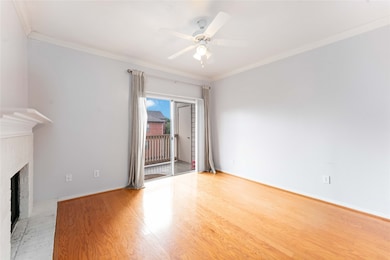 Living Room with lots of natural light!