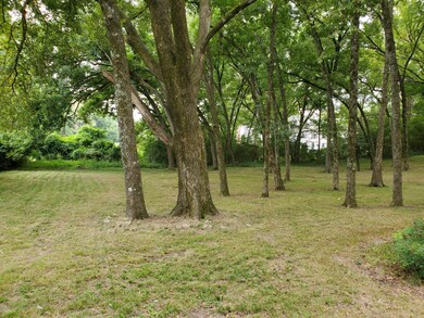 3 backyard