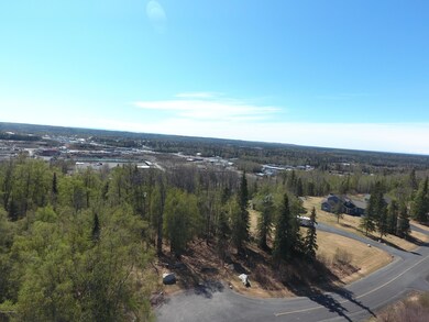 Aerial  View