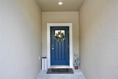 17620 Nectar Flume Dr, Land O' Lakes, FL 34638 - photo 3