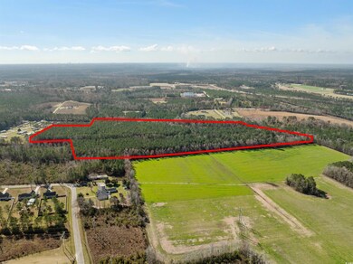 TBD - Lot 1 Daphane Dr unit Lot 1, Loris, SC 29569 - photo 6