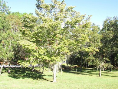 8925 SW 212th Ct, Dunnellon, FL 34431 - photo 7