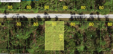 unlisted-address, Port Charlotte, FL 33953 - photo 6