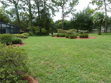 Rear of Yard