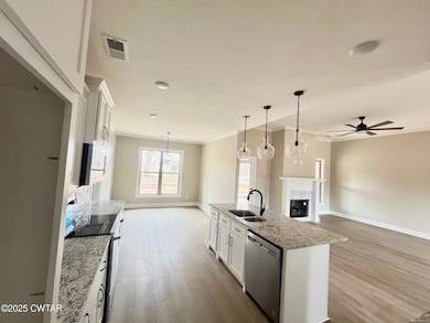 11 Burning Tree Cove, Jackson, TN 38305 - photo 6