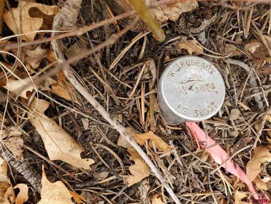 0 Bell Flower Ct unit 767546, Durango, CO 81301 - photo 6