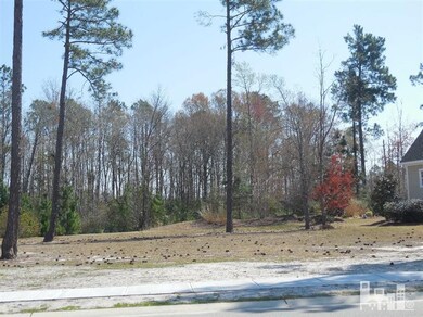 1229 Lillibridge Dr, Leland, NC 28451 - photo 3