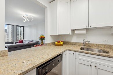 Walton Colonnade unit 36E, Chicago, IL 60611 - photo 7