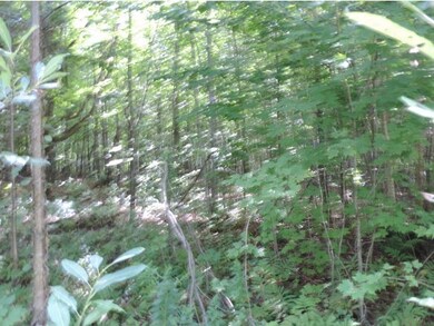 1099 Gibbs Rd, Newport, VT 05857 - photo 5