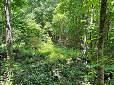 Possible Food Plot Location