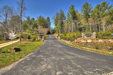 33 & 34 Fannin Overlook, Blairsville, GA 30512 - photo 6