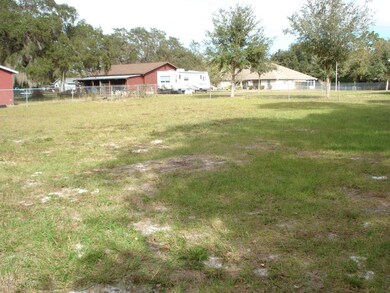 Your backyard