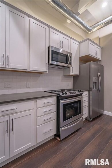 210 E River Dr unit 202, Davenport, IA 52801 - photo 7