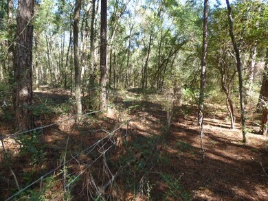 0 Swirl Ln unit 287251, Crawfordville, FL 32327 - photo 6