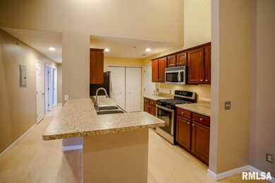 4511 N Tallgrass Ln unit 204, Peoria, IL 61615 - photo 7
