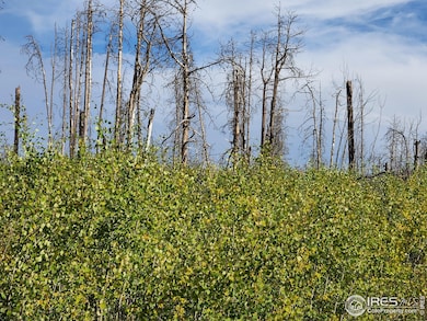0 Crystal Mountain Rd unit 1047926, Bellvue, CO 80512 - photo 6
