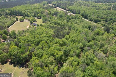 2310 Hollonville Rd, Williamson, GA 30292 - photo 6