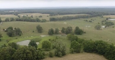 Screen Shot 2020-07-06 at 2.09.00 PM