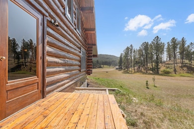 11824 Diamond Rd, Custer, SD 57730 - photo 7