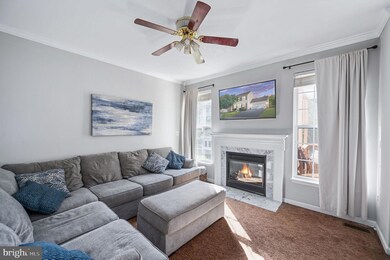 6419 Hot Spring Ln, Fredericksburg, VA 22407 - photo 3