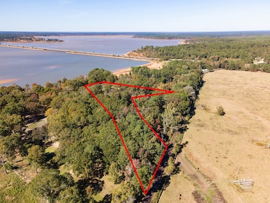 L9631 Cr 467, Etoile, TX 75944 - photo 3